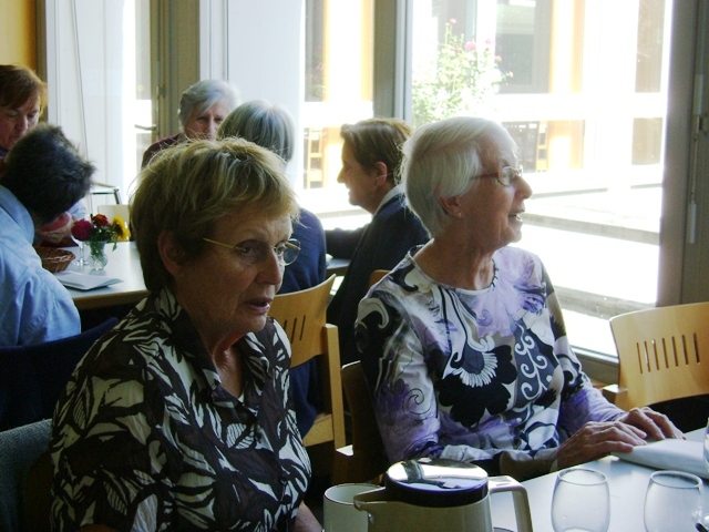 participantes